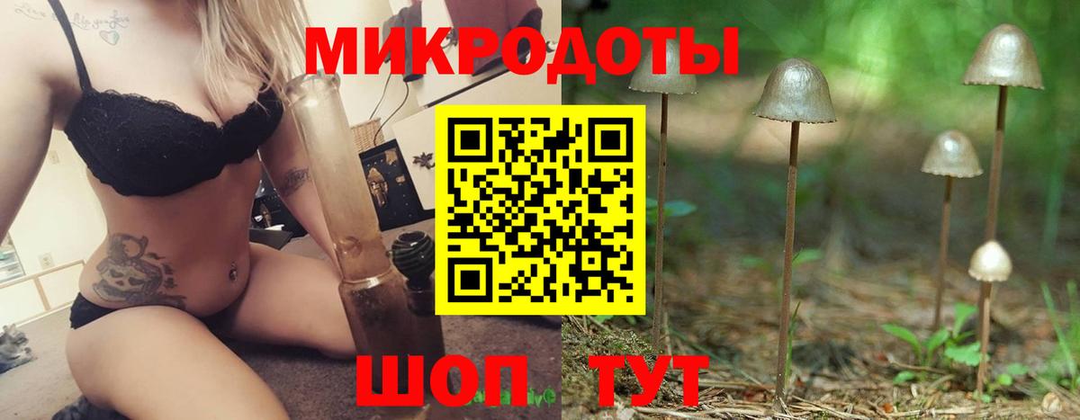 Галлюциногенные грибы мицелий Россия